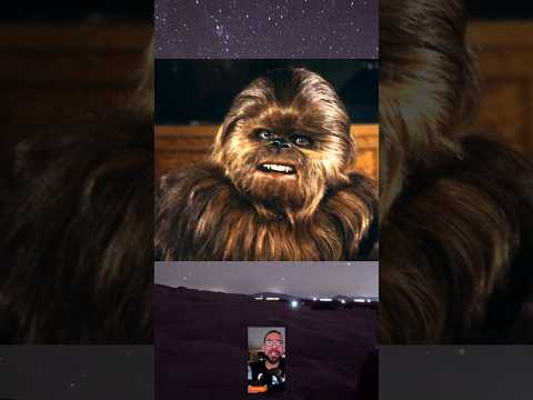 Quick Thought on Hot Toys Chewbacca & C3PO Set just released
