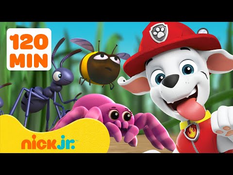 PAW Patrol Bug Rescues & Adventures! ? 2 Hours | Nick Jr.