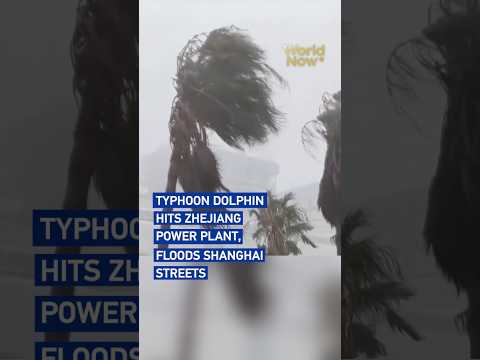 Typhoon Dolphin hits Zhejiang power plant, floods Shanghai streets