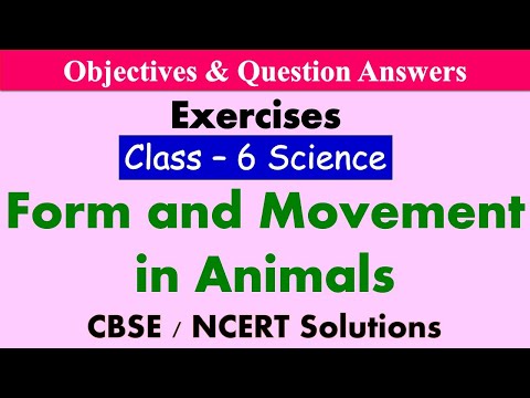 Form and Movement in Animals – Class : 6 Science | Exercises & Question Answers |
