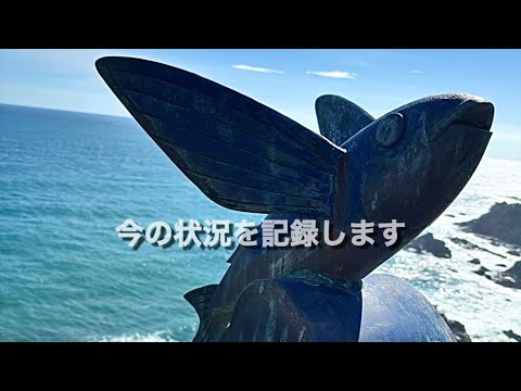 土佐清水市に移住した私の、今の状況