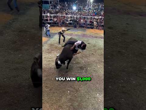 He Won The Tough Bull Riding Game 😮