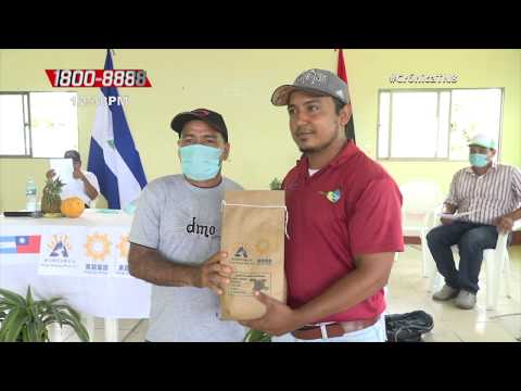 Productores de Ometepe reciben semillas mejoradas - Nicaragua