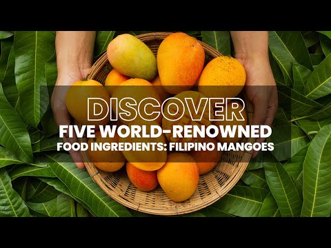 Discover the world-renowned - Filipino Mangoes