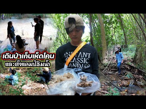 หาเห็ดโคน-ตั้งแคมป์-ริมแม่น้ำ- หาเห็ดโคน-ตั้งแคมป์-ริมแม่น้ำ-