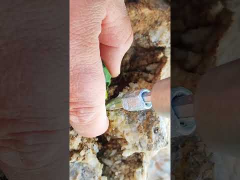 Rainbow Beach's Crystal Secrets, but beneath the sand lies a secret world of crystals.