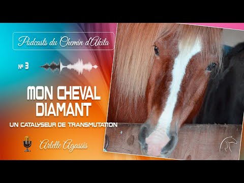 Mon cheval Diamant : un catalyseur de transmutation