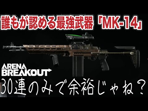 6装備撃破！高額MKなら30連のみでも余裕でしょ。【arenabreakout】アリーナブレイクアウト