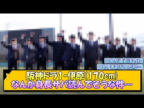 阪神ドラ1・伊原(170cm) なんか身長サバ読んでそうな件…【なんJ/2ch/5ch/ネット 反応 まとめ/阪神タイガース/藤川球児】