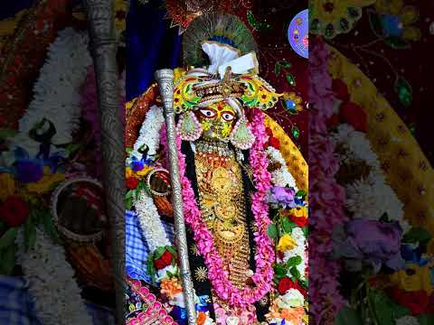 आज श्री राधा दामोदर भगवान राधा रानी राई राजा दामोदर कोतबाल दर्शन दिए 🙏🙏#vrindavandham