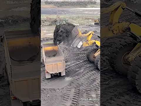 건설 <strong>현장</strong> 대형 <strong>휠</strong> 로더의 토사 운반 및 긁어모으기 공정 #worker #process #heavyequipment #excavation #construction