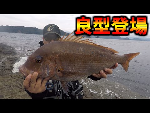 高知県の釣り師まっつんの最新動画 Youtubeランキング