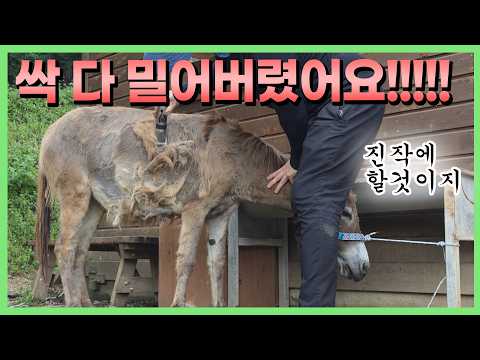 버티고 버텼지만 결국 졌습니다 😇