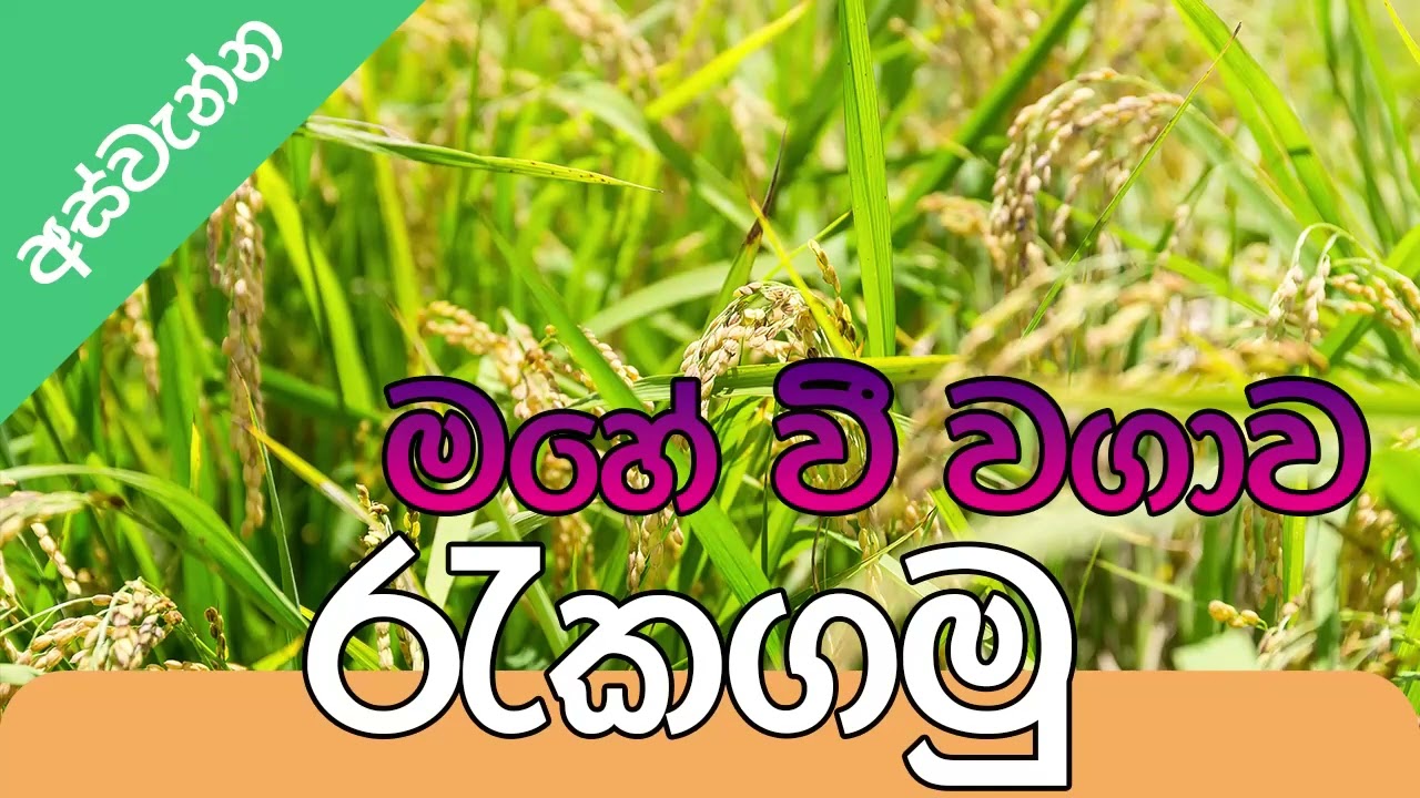 Krushi Radio – First Agricultureal Radio Station in Sri Lanka