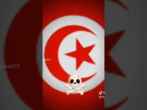 قلب التونس