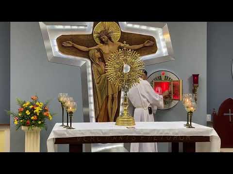 Santa Misa Solemnidad del Sagrado Corazón de Jesús  23/junio/2022