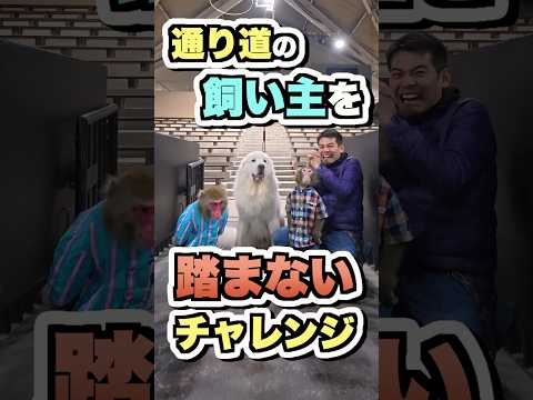 動物に尊敬されているかわかる方法を試してみた！#アニマルトレーナー