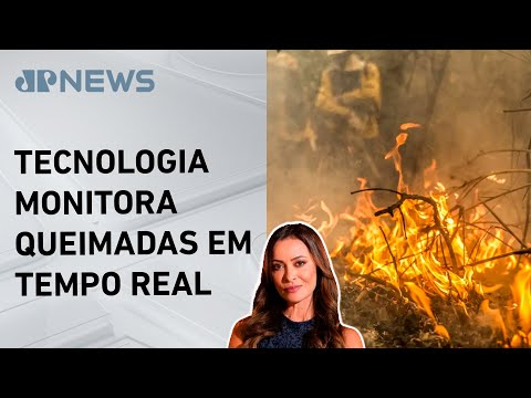 Novo satélite pode revolucionar combate a incêndios; Patrícia Costa analisa