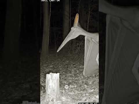 Wait, Didn't They Get Extinct? #scary