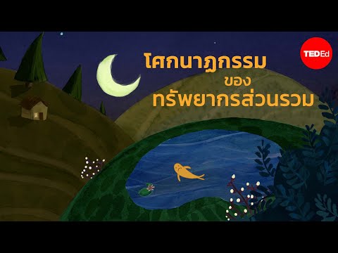 โศกนาฏกรรมของทรัพยากรส่วนรวมคื