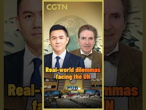 Real-world dilemmas facing the UN
