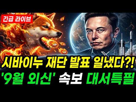 시바이누 9월 속보! 역대급 '세력 타이밍' 모르면 막차 놓친다?