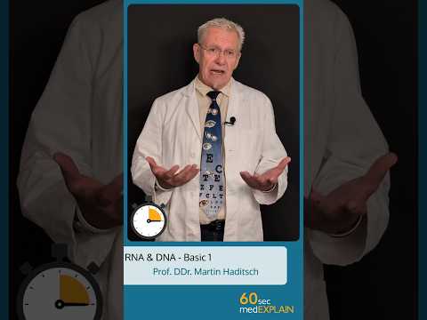 RNA und DNA (Basics)