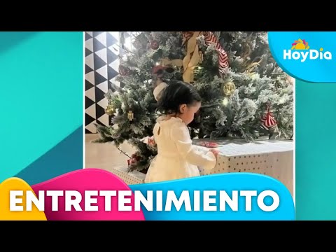 Alejandro Fernández disfruta con sus nietas y les canta | Telemundo Entretenimiento