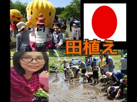 Nos fuimos a plantar Arroz y salimos en la TV Japon videoblog