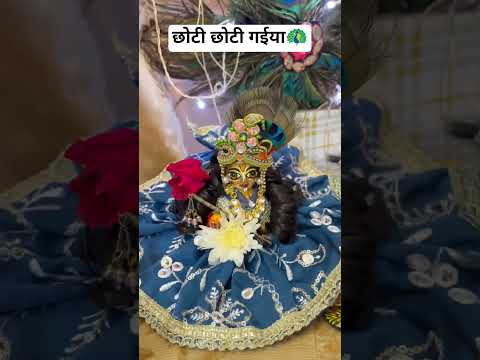 छोटी छोटी गइया छोटे छोटे ग्वाल🙏🦚#bhakti#vrindavan#radharani #radheshyaam#viral#shorts #ytshort