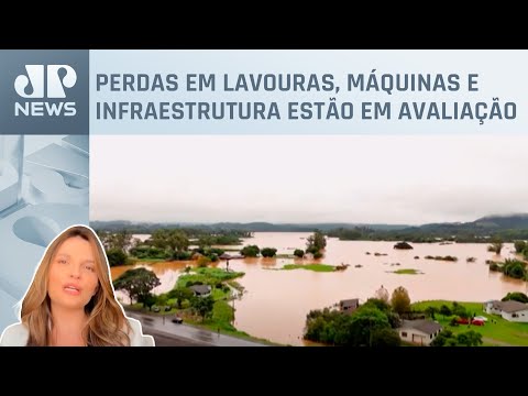 Kellen Severo: Chuvas deixam rastro de destruição no agro gaúcho