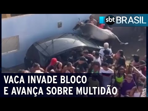 Após fugir de matadouro, vaca invade bloco de rua e avança sobre multidão | SBT Brasil (13/02/24)