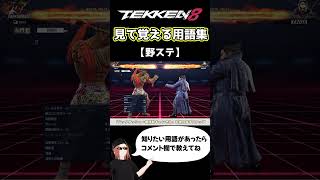 【鉄拳8】見て覚える用語集【野ステ】