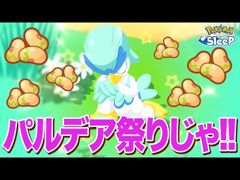 【ポケモンスリープ】パルデア御三家パーティー！！この調子でホウエン御三家もたくさん出てね
