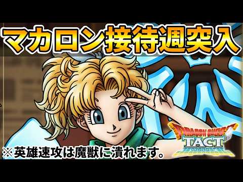 【ドラクエタクト】マカロン接待週キターーーーーー【英雄速攻の時代】