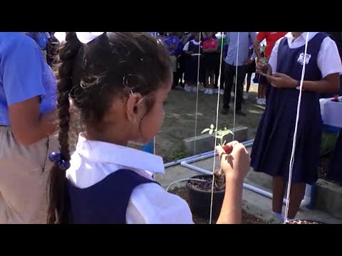 Feel Good Moment - Presto Market Donates Hydroponic Garden System To Arima Presbyterian School