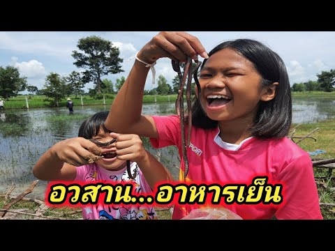 อวสาน-อาหารเย็น-ขี้จโรย-ใส้เดื อวสาน-อาหารเย็น-ขี้จโรย-ใส้เดื