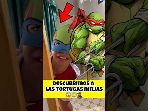 encontré unas tortugas misteriosa en mi casa😱🥷😰 #viral  #shortvideo  #videoviral  #videoshort #video