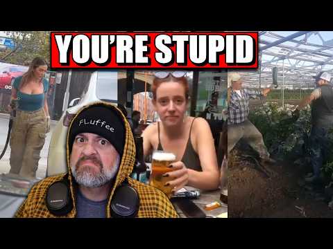 IMPRESSIVE and IGNORANT - You're Stupid! # 173