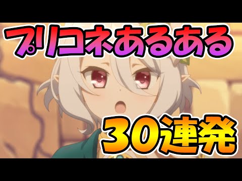 皆のプリコネあるある３０連発やってみたｗｗｗ【プリコネＲ】