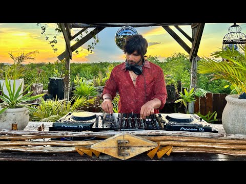 Golden Canopy | Organic & Progressive House Sunset Mix 2025 | By @EPHIMERATulum
