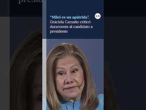La diputada Graciela Camaño opinó sobre el candidato argentino y lo diferenció de Trump o Bolsonaro
