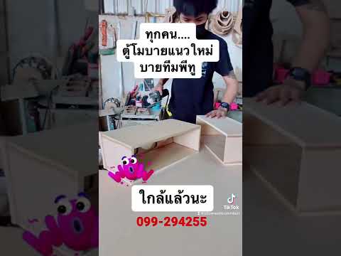 ตู้โมบายสไตล์พีทู