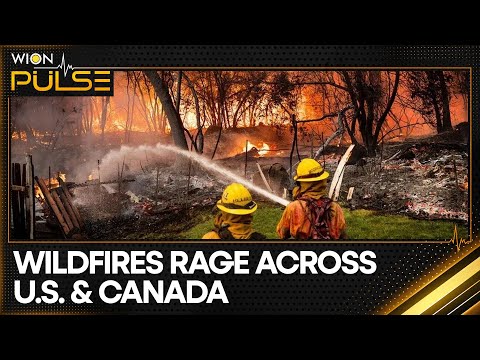 Wildfires sweep across US and Canada | WION Pulse