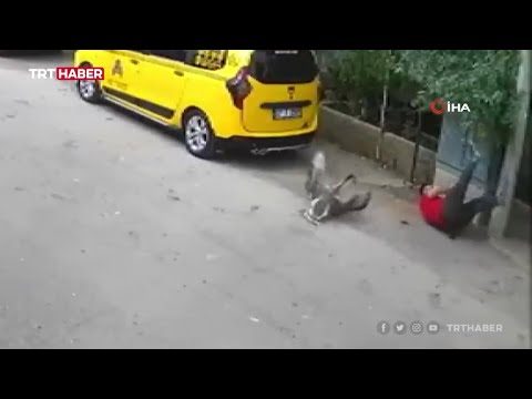 Kendisine saldıran kazları satmaya karar verdi