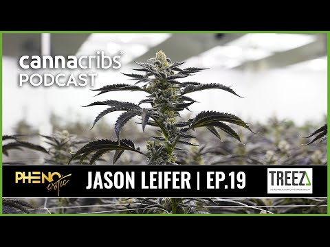 Vegas Cannabis at Pheno Exotic - Jason Leifer - Canna Cribs Podcast (E19)