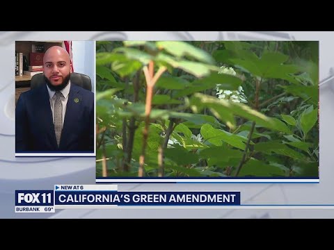 Understanding California's Green Amendment