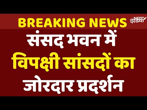 Opposition Protest Against Bihar SIR: Voter List मुद्दे पर विपक्षी सांसदों का संसद में प्रदर्शन