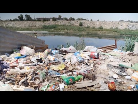 En Irak, les polluants empoisonnent l'eau des rivières • FRANCE 24