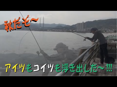 まずは浮かせろ、秋は色々浮いてくる　七転八釣